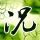 国产无人机蜂群作战系统震撼亮相